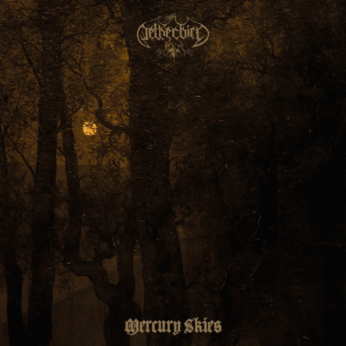 Netherbird : Mercury Skies